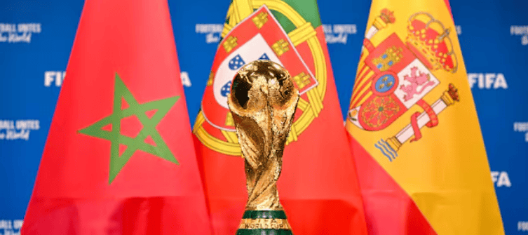 以及明年 以及明年