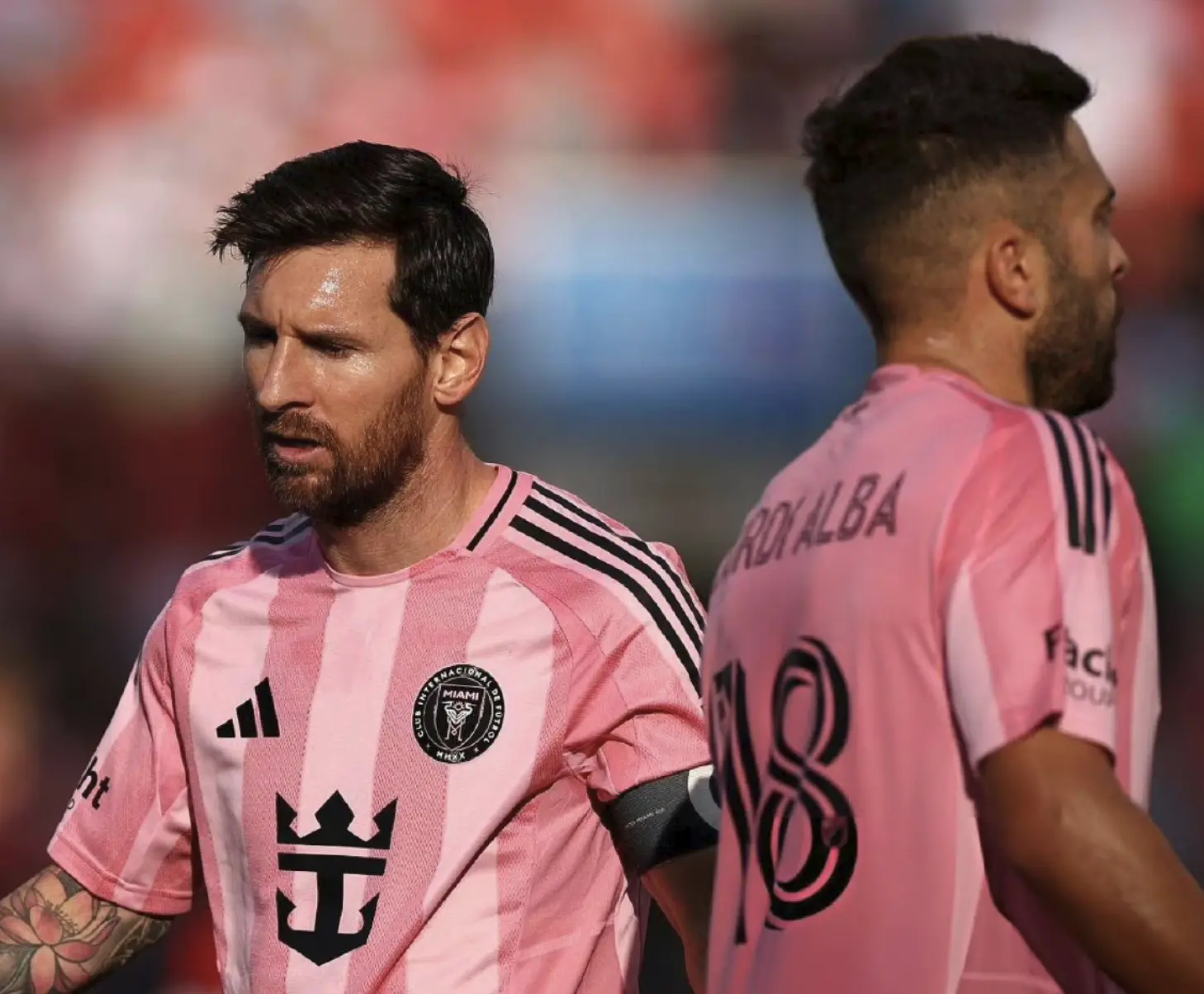 alt, 是马斯切拉 alt, 是马斯切拉