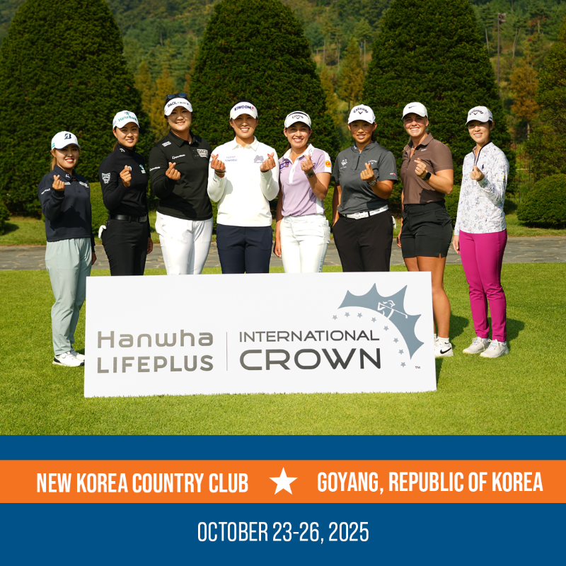 高宝璟, 阳市新韩国